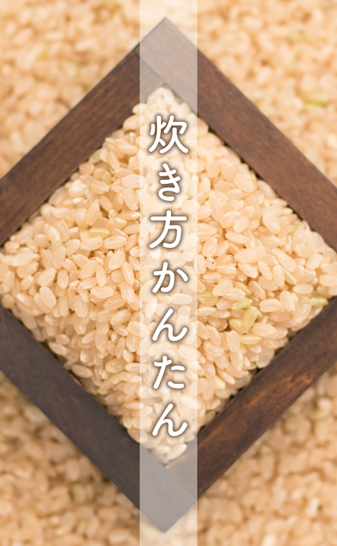 白米と同じように炊けるやわらかい玄米 ヤマトライス